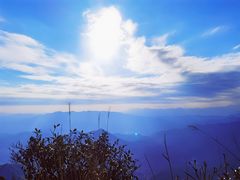 -金子山原生态旅游风景区