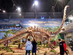 -自贡恐龙博物馆