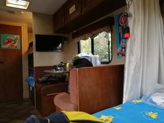 -崇明东平国家森林公园烧烤房车露营地