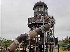 -上海长兴岛郊野公园