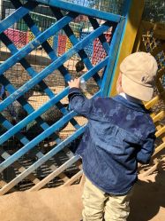 -萌宠亲子动物乐园(槐房万达店)