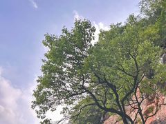 -天台山赤城山景区