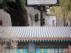 -香山公园