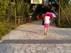 -苏州太湖国家湿地公园