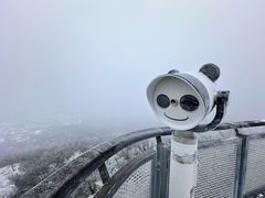 -紫金山山顶公园