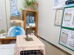 -爱妮康宠物医院·干细胞免疫细胞·肿瘤·心脏(张江店)