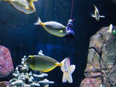 -成都浩海立方海洋公园