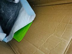 -爱侣宠医·鹦鹉专科·小型哺乳类·异宠专科(灵石路店)