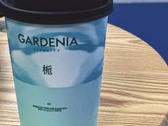 空山栀子-爷爷不泡茶NOYEYENOTEA(烟台烟大保利店)