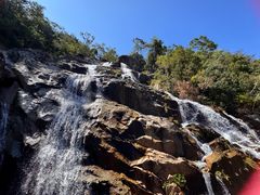 -霸王岭国家森林公园
