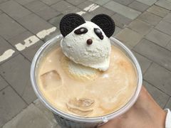 -中国大熊猫保护研究中心雅安碧峰峡基地