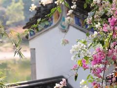 -深圳国际园林花卉博览园
