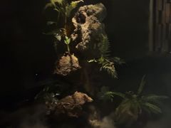 -泰之源足浴会所(玉环店)