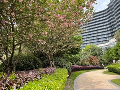 -绿城千岛湖喜来登度假酒店