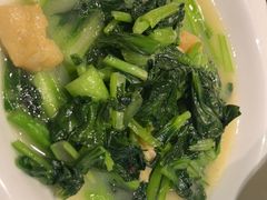 -東大方(安吉灵芝店)