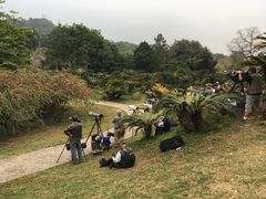 -华南国家植物园-售票处