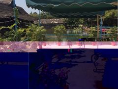 iphone_upload_pic-海鸥岛