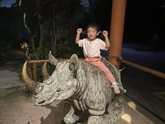 -夜间野生动物园