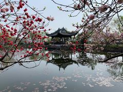 -无锡蠡湖国家湿地公园-蠡园