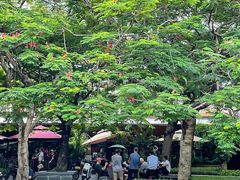 -缘生态云南菜·野生菌庭院餐厅(华侨城店)