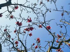 -桃花涧