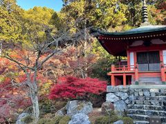 -醍醐寺