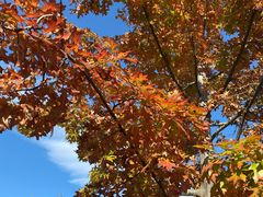 -北京西山国家森林公园