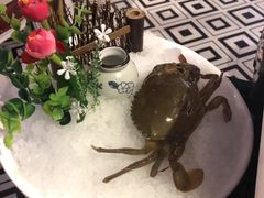 -味享汇海鲜姿造(新田园店)
