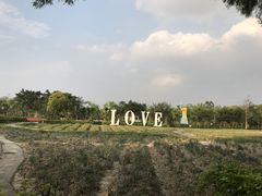 -广东花都香草世界旅游度假区
