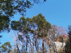 -红花湖景区