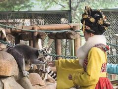 -西安秦岭野生动物园