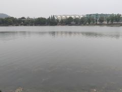 -羊山湖公园