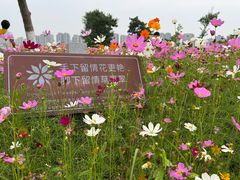 -洋湖国家湿地公园