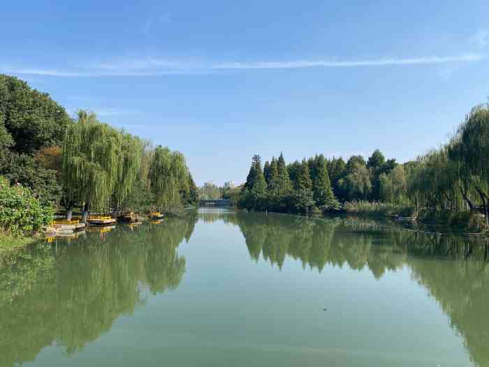 五星公园-"为了寻找秋的味道,国庆长假的时候特意来这.