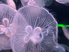 -欢乐海岸海洋奇梦馆