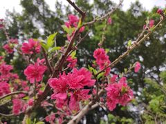 -乌山风景区