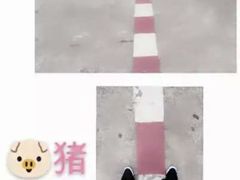 -东兴口岸-中越友谊大桥