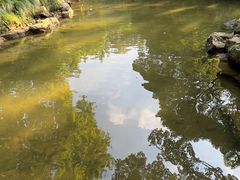 -杭州植物园