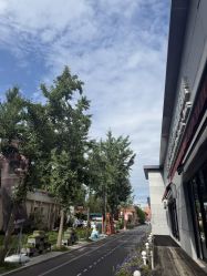 -爱儿美儿童摄影亲子馆(五路居店)