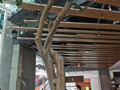 -gaga(深圳福田星河COCO Park店)