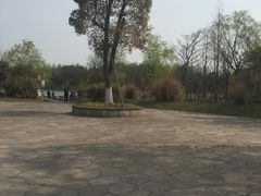 -梁鸿国家湿地公园