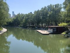 -朝阳公园游乐园