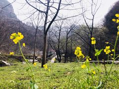 -少华山国家森林公园