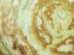 -方城正宗烩面(凤瑞路店)