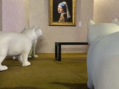 -深圳湾万象城(南山店)