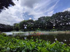 -广州长隆飞鸟乐园