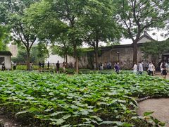 -绍兴鲁迅故里·沈园景区