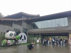 -都江堰中华大熊猫苑
