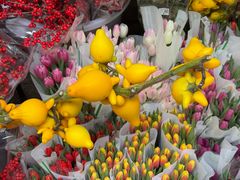 -循礼门鲜花花市(武汉循礼门店)