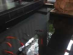 -旅马餐厅(茅家埠店)